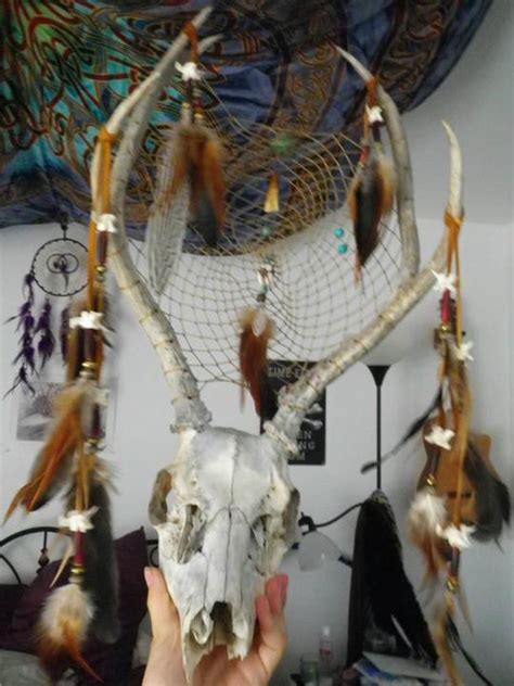 Deer Skull Dream Catcher By Desertsunreyes On Deviantart