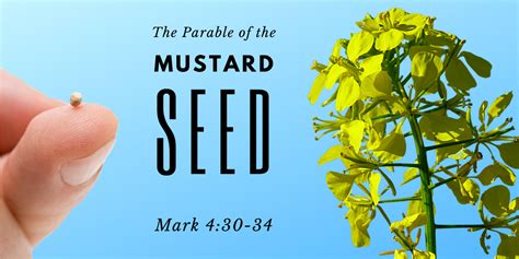 The Parable Of The Mustard Seed Mark 430 34 Christ Fellowship