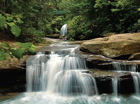 Buderim Falls Attraction Queensland