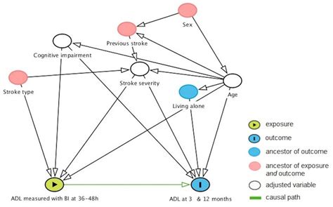 Directed Acyclic Graph Showing Factors That Might Confound The