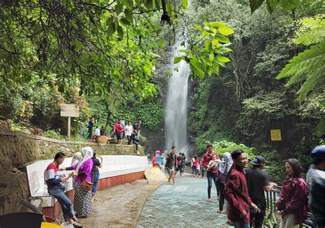 Demikianlah informasi tentang harga tiket masuk air terjun madakaripura, semoga informasi ini dapat berguna dan bermanfaat untuk kalian semua, terima kasih juga telah berkunjung di hargatiketmasuk.info dan jangan lupa untuk kembali lagi apabila ingin mencari informasi lain terkait. Review Air Terjun Dlundung, Harga Tiket Masuk, Misteri ...