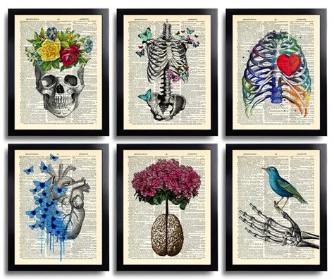 Anatomy Art Print Set 6 Medical Wall Art Anatomical Poster Etsy