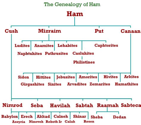 The Genealogy Of Ham Bible Facts Bible Study Help Bible Study Guide