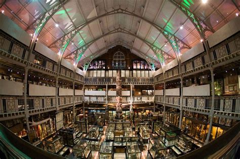 Pitt Rivers The Museum Thats Returning The Dead Bbc News