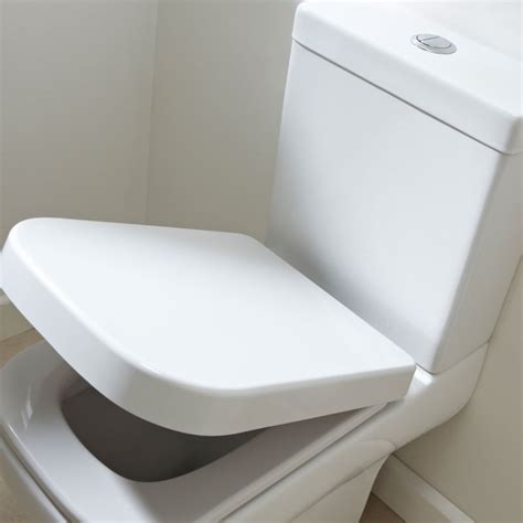 Shop our exclusive collection of soft close toilet seats online! Mini Soft Close Quick Release Toilet Seat - R2 Bathrooms