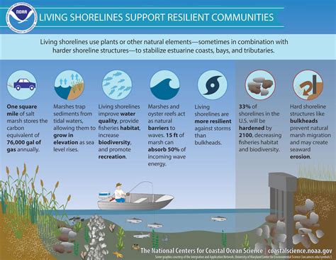 Living Shorelines - NOAA Habitat Blueprint