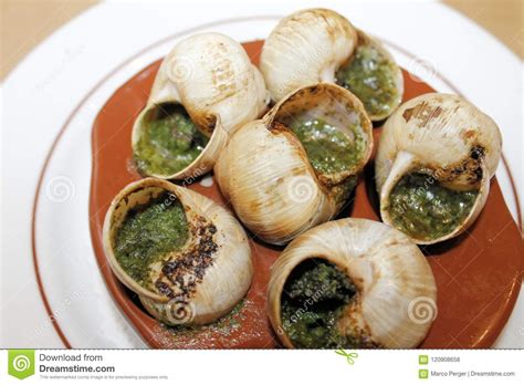 Escargots Stock Photo Image Of Appetizer Delicacy 120908658
