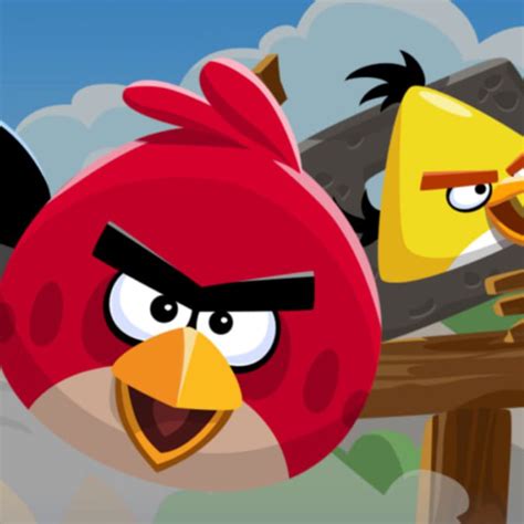 Incredible Compilation Over Angry Bird Images In Stunning K Quality
