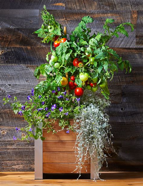 19 Vegetable Container Garden Ideas That Show Off Your Yield