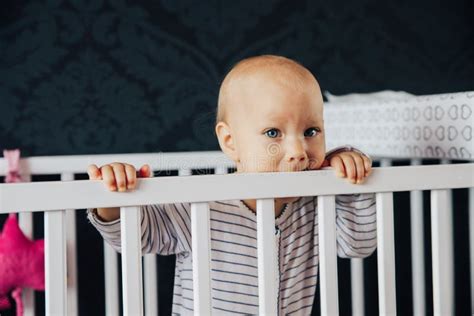 Baby Girl In His Bed Bites His First Teeth Stock Photo Image Of