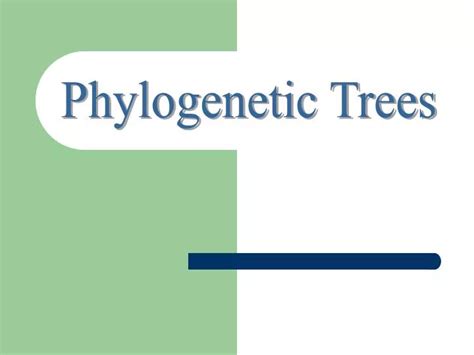 Ppt Phylogenetic Trees Powerpoint Presentation Free Download Id
