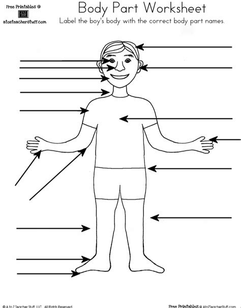 Be careful with verb conjugation. Body Part Worksheet (Boy and Girl) | A to Z Teacher Stuff ...