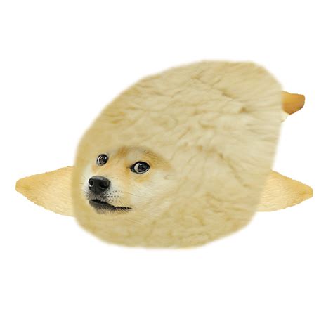 Seal Rdogelore Ironic Doge Memes Know Your Meme