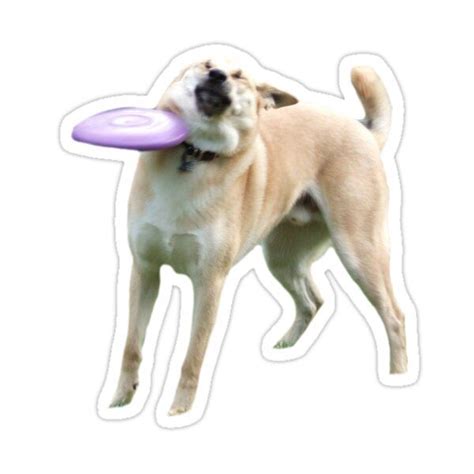 Ouch Doggo Sticker By Rad Merch In 2021 Cute Stickers Dog Stickers