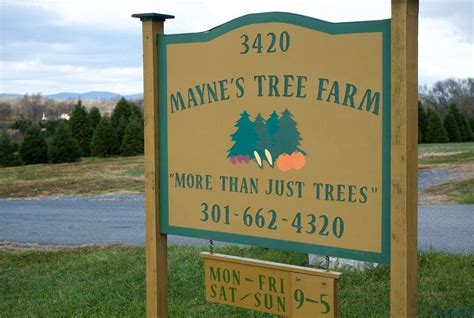 mayne s tree farm 3420 buckeystown pike buckeystown md 21717 usa