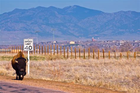 Blitzer, radarfalle, geschwindigkeitsüberwachungsgerätfrom the english speed camera nm,nf,nn. Colorado-Radarfalle stockbild. Bild von arsenal, rgert ...