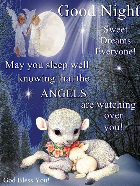 Lamb Angel Good Night Quote Pictures Photos And Images For Facebook