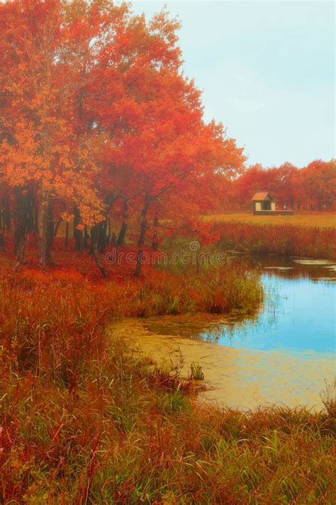 Autumn Landscape With Oak Trees And Lonely House In Cloudy Autumn