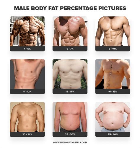 How To Calculate Your Body Fat Percentage Easily Accurately With A