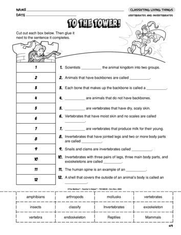 This introduction was prepared by alison evans in 2016. Vertebrates And Invertebrates Worksheets For Grade 2 | Physical education lesson plans ...
