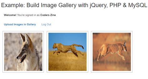 Build Dynamic Image Gallery With Php And Mysql Coderszine