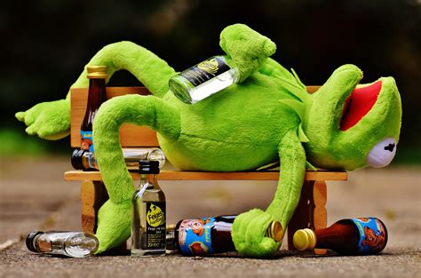 Kermit Frog Wine Drink Alcohol Drunk Rest Sit 4k Hd Wallpaper