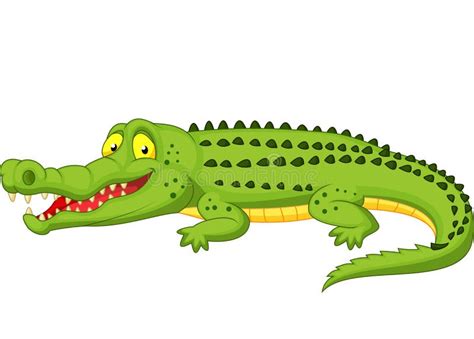 Crocodile Stock Illustrations Vecteurs Clipart 37 995 Stock