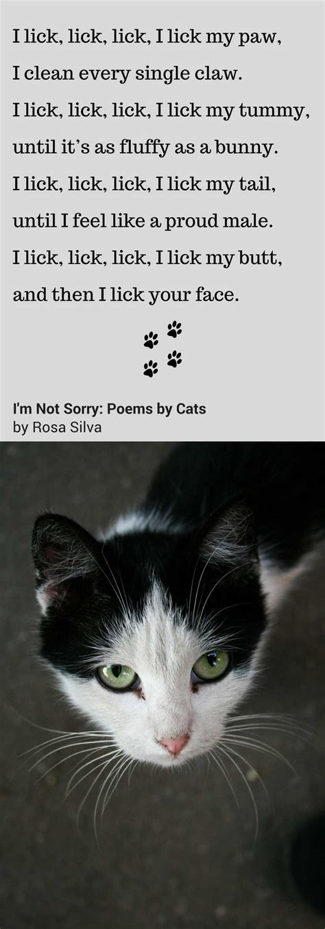 Im Not Sorry Poems By Cats Cat Poems Cat Quotes Cat