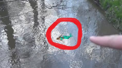Real Mermaid Caught On Camera Seen On Animal Planet Youtube