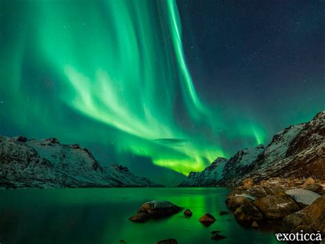 Ahí encontrarás todos los datos que necesitas para ver los duelos donde quiera que estés. Dónde ver auroras boreales, los mejores destinos ...