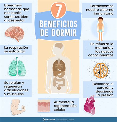 7 beneficios de dormir mientras tú descansas tu cuerpo sigue trabajando descubre más e