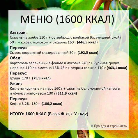 Диета подсчетам калорий Диета 2000 Калорий В День Меню — Похудение Диета Правильное Питание Диета 2000 Калорий В День Меню — Похудение Диета Правильное Питание Диета подсчетам калорий