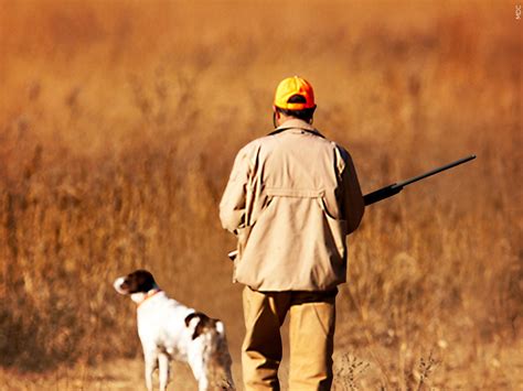 Public Comment Requested For 2022 2023 Migratory Game Bird Seasons