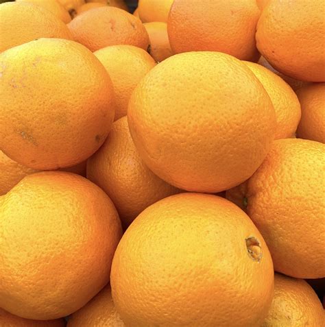 Citrus Heirloom Navel Oranges Each Single Large Orange