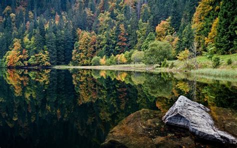 Wallpaper Trees Landscape Forest Lake Water Rock Nature
