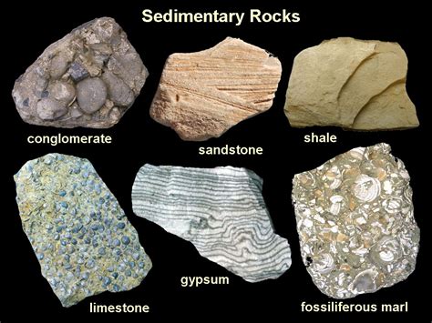 Common Sedimentary Rock Types Sedimentary Rocks Rock Types Sedimentary
