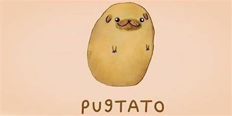Ask The Potato~~ Page 14 Forum Games And Memes Anime Forums