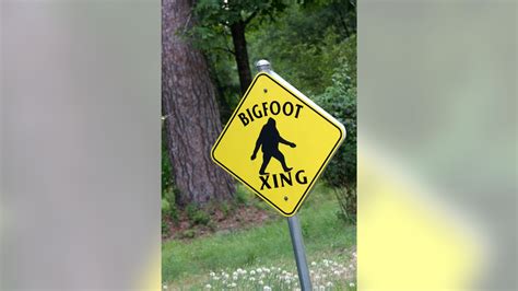 North Carolina Town Names Bigfoot As Its Official Animal Fox News