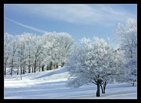 Winter Wonderland In Ann Arbor Michigan Taken On Dec 28 Flickr