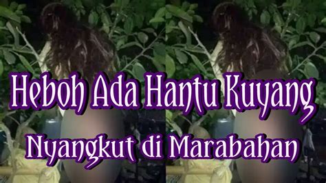 Kisah misteri mistis hantu seram kuntilanak ingin menarik kemaluanku. Paling Populer 30 Foto Hantu Kuyang Terseram - Romi Gambar