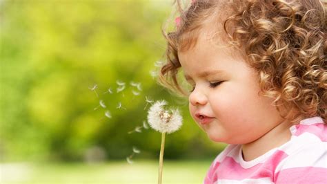 Cute Girl Baby Is Playing With Dandelion Wearing Pink Dress In Blur