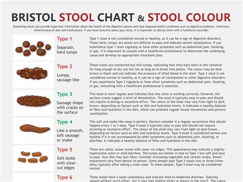 Bristol Stool Chart Digital Download Pdf Stool Health Healthy Poop