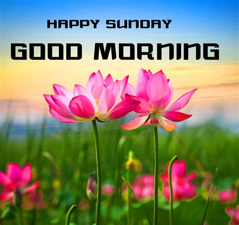 35 Happy Sunday Good Morning Hd Images Share Your Day Wishes