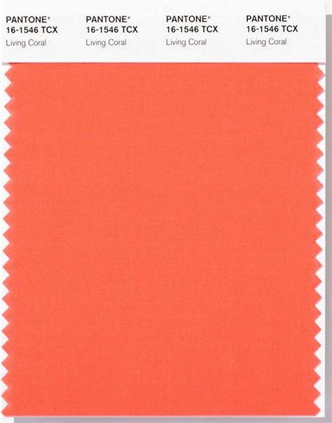 Pantone Picks Living Coral As 2019 Color Of The Year