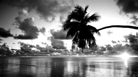 Free Download Beautiful Black And White Sunset Wallpaper 1600x900 For