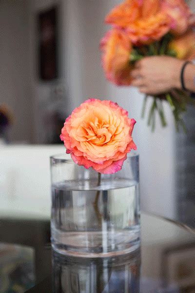 Floral Tips And Tricks To Make Decorating Your Houseapartmentdorm