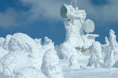 Photos ‘snow Monsters Of Japan ~ Pink Tentacle