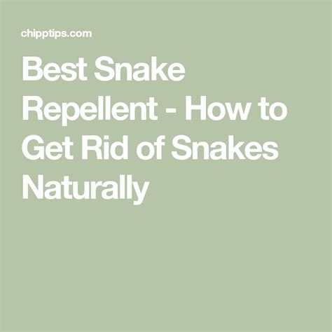 Best Snake Repellent How To Get Rid Of Snakes Naturally Snake Free Repellent Rid