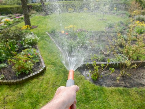 Watering Gardens Learn How To Water A Garden Effectively