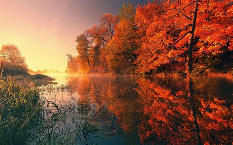 1680x1050 Trees Fall Reflection Autumn 4k 1680x1050 Resolution Hd 4k Wallpapers Images